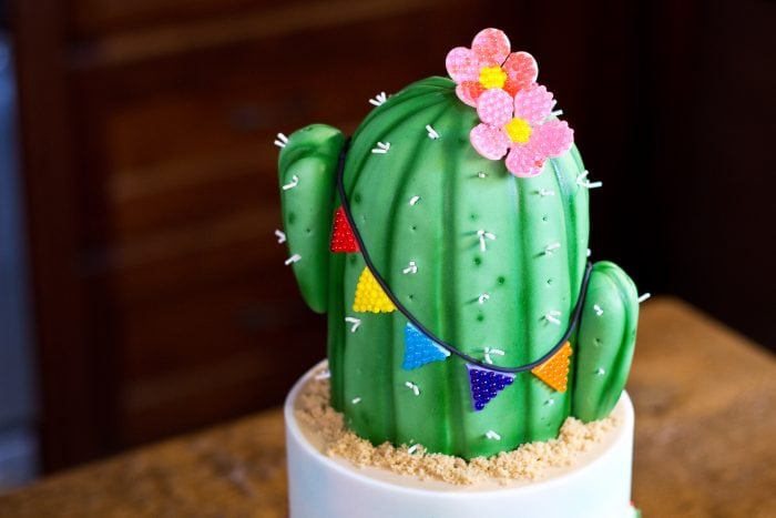 Succulents Cactus Cake